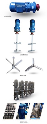 昆明二叶式搅拌器